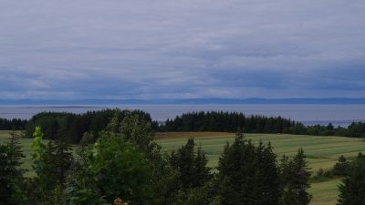 green trees under blue sky during daytime