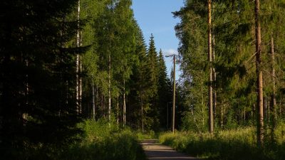 Nature trail